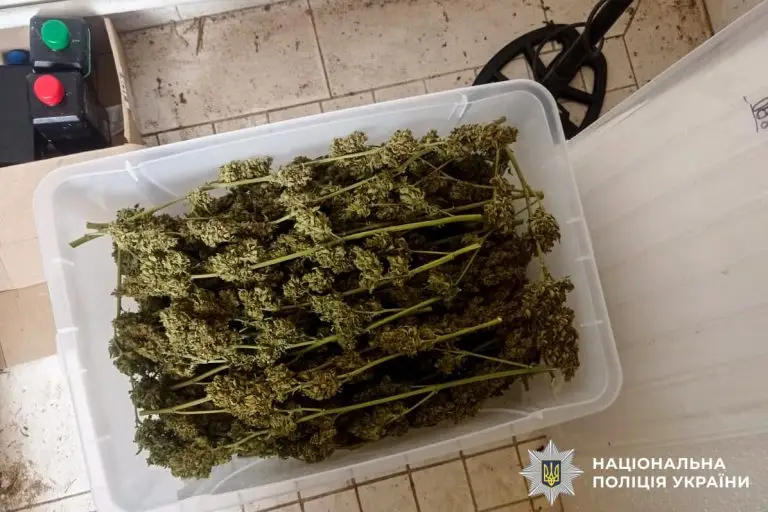 За збут наркотиків жителя Вараша засудили до дев’яти років позбавлення волі